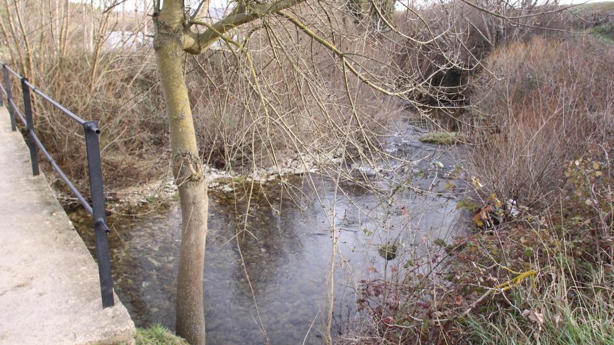 Imagen de archivo del río Ubagua