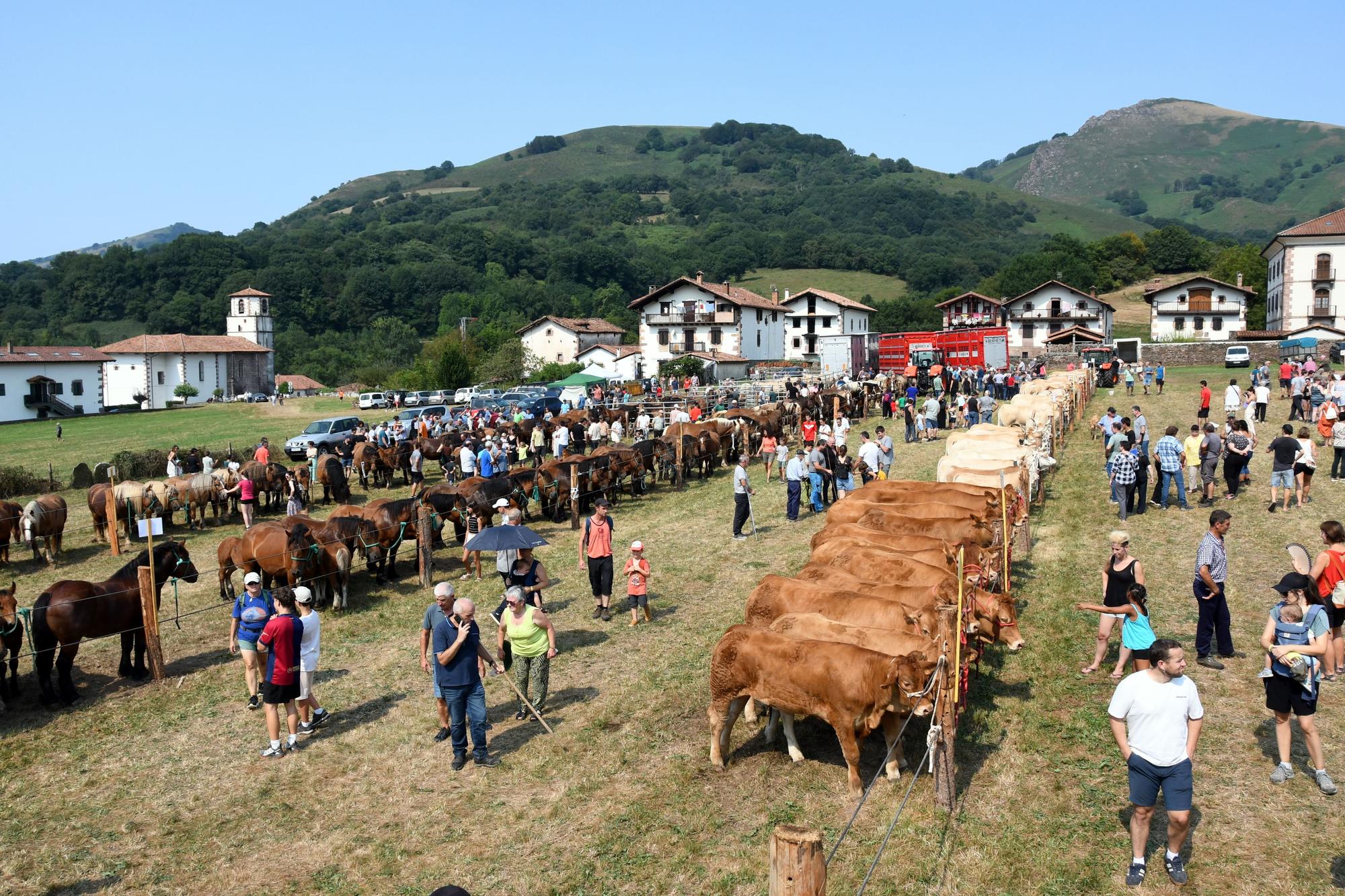 Artzai Eguna en Amaiur
