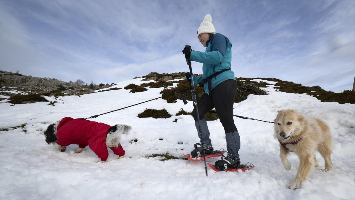 Beatriz Rojas disfruta con sus amigos de cuatro patas.