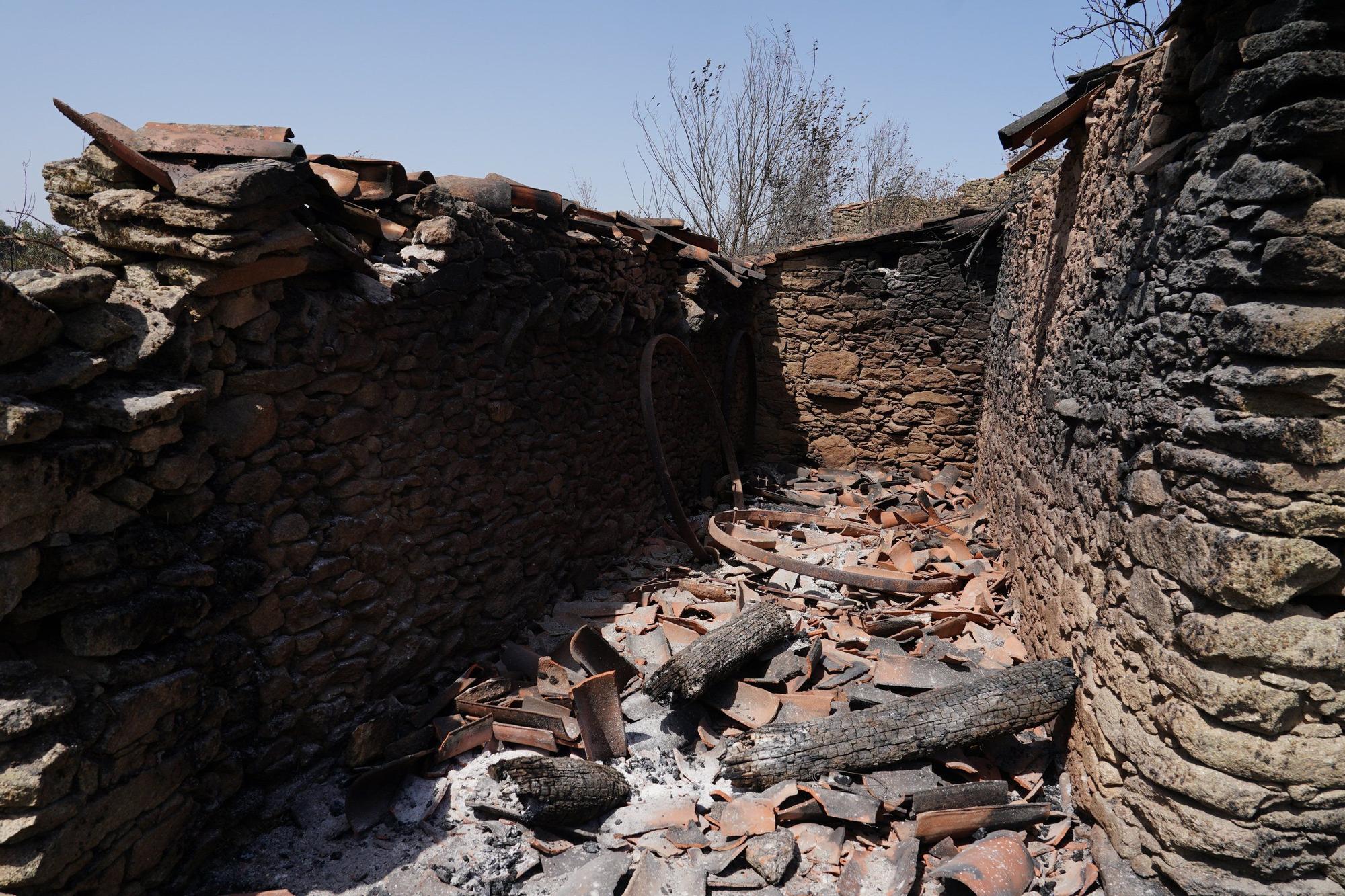 Semana negra de incendios: Cuatro muertos y 120.000 hectáreas quemadas