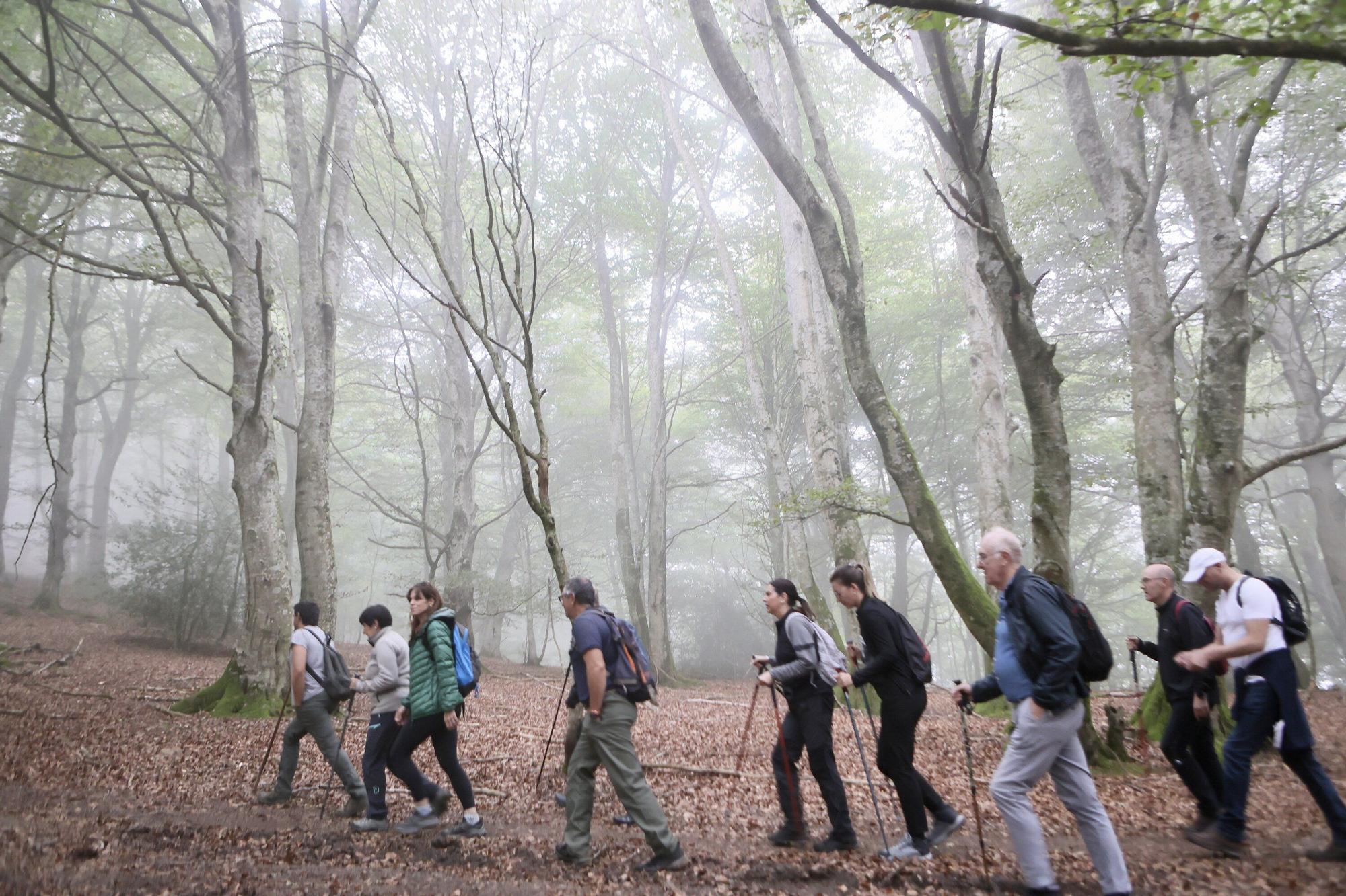 En imágenes: La corporación municipal recorre los mojones en el Día de Olarizu