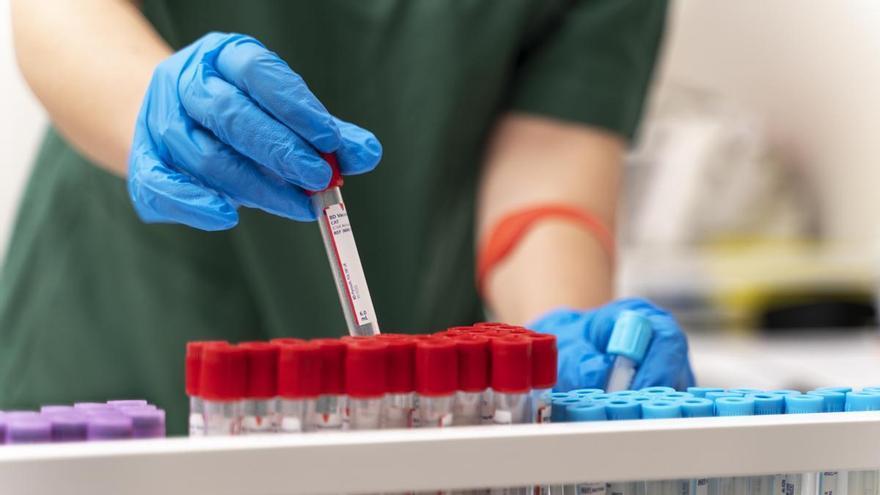 Mª Teresa Álvarez, hematóloga: “La terapia génica curará la hemofilia”