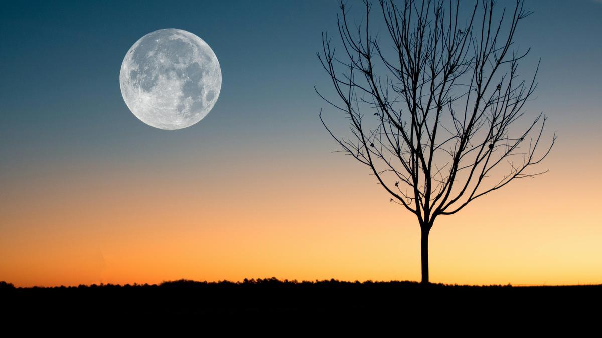 Vuelvo a mi ciclo lunar, la marea de la UCI B.