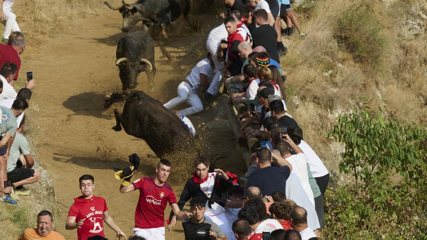 Fotos del primer encierro del Pilón de fiestas de Falces de 2026