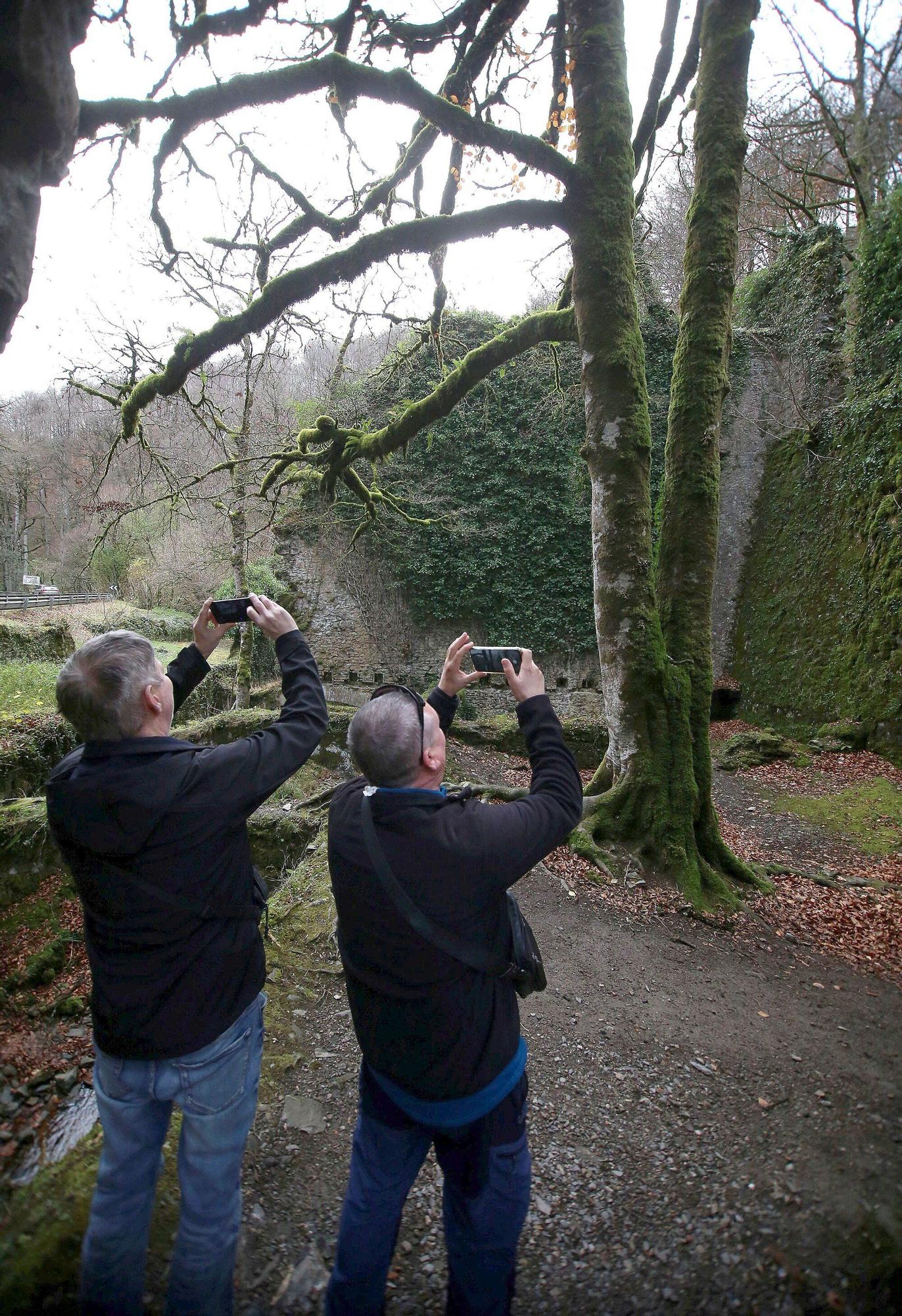Domingo de otoño en la Real Fábrica de Municiones de Eugi