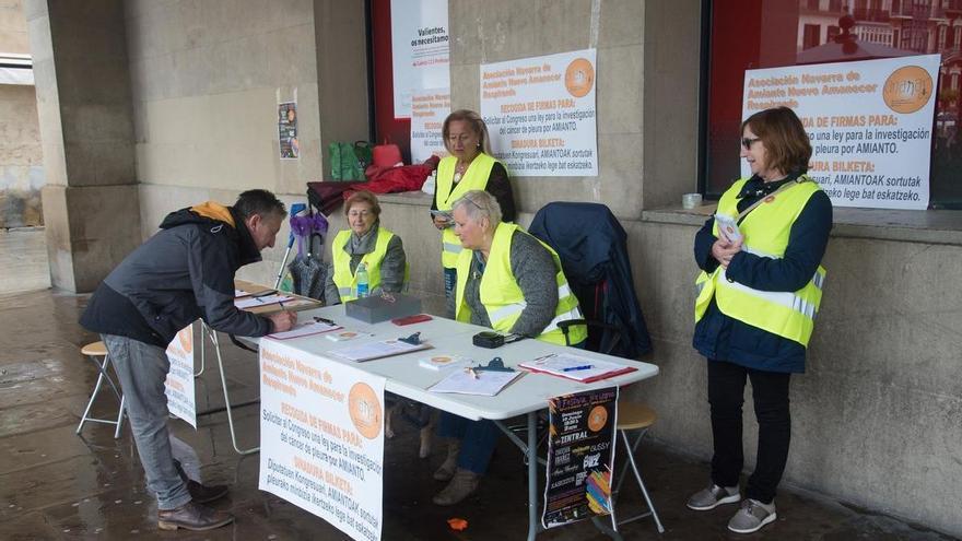 La Asociación Navarra de Amianto, reconocida por primera vez a nivel nacional por su labor