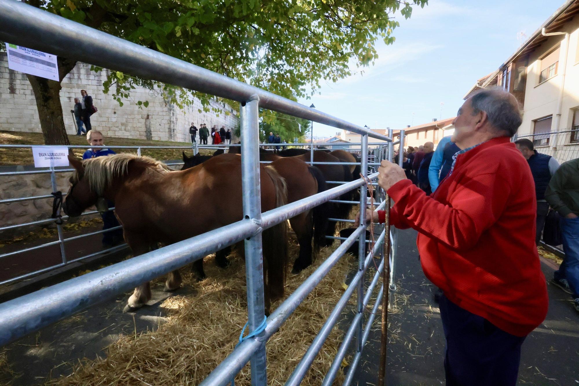 En imágenes: Miles de personas disfrutan de la 630 edición de la feria de Agurain
