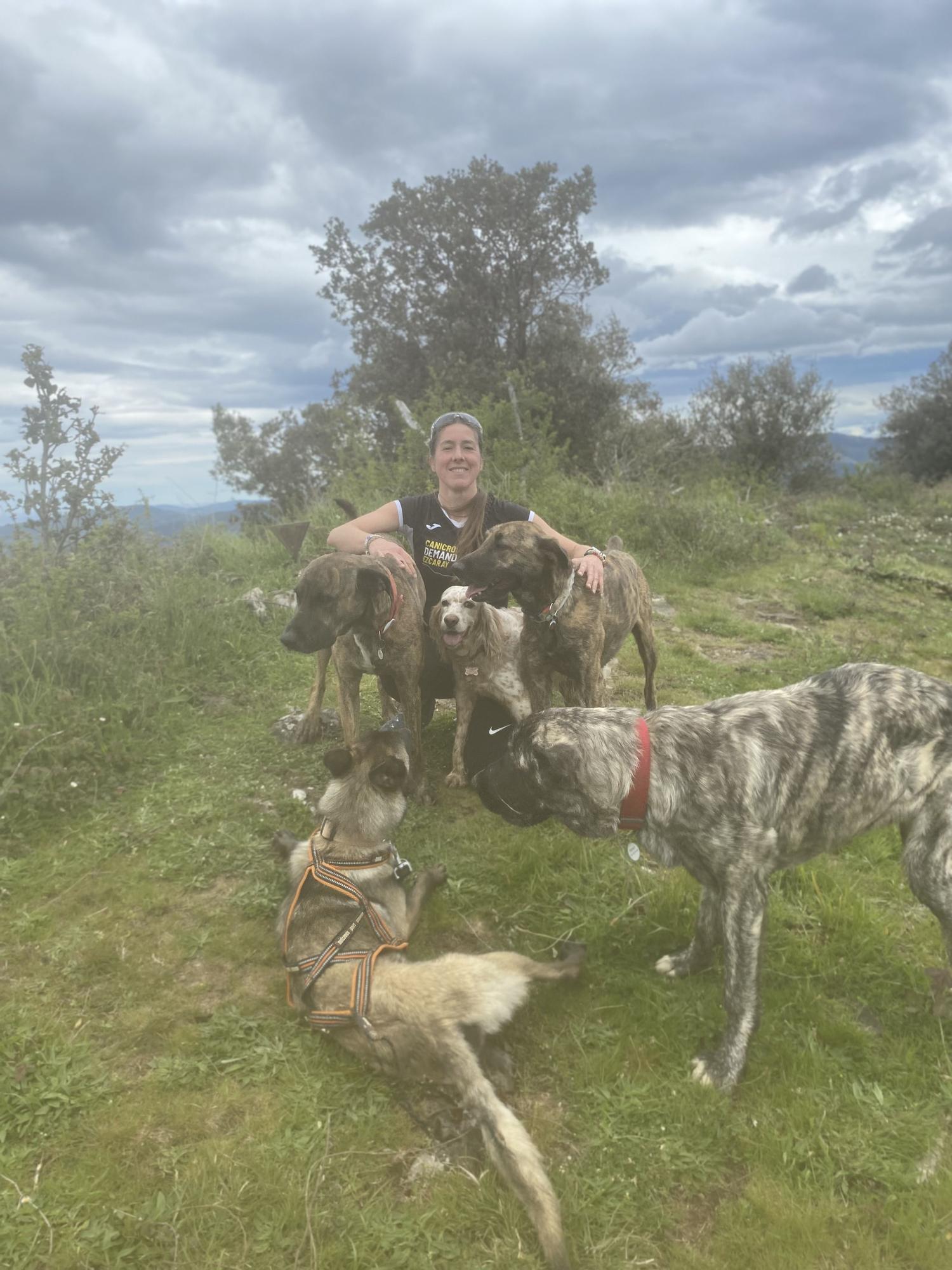 Los perros se convierten en parte de la familia.