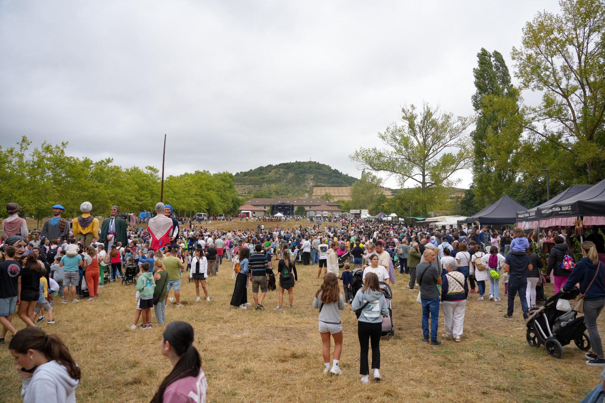 En imágenes: Las campas de Olarizu se llenan de fiesta