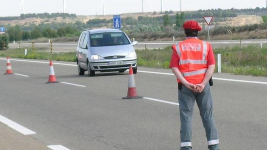 Multas de tráfico en Navarra: métodos de pago, plazos y proceso de alegaciones