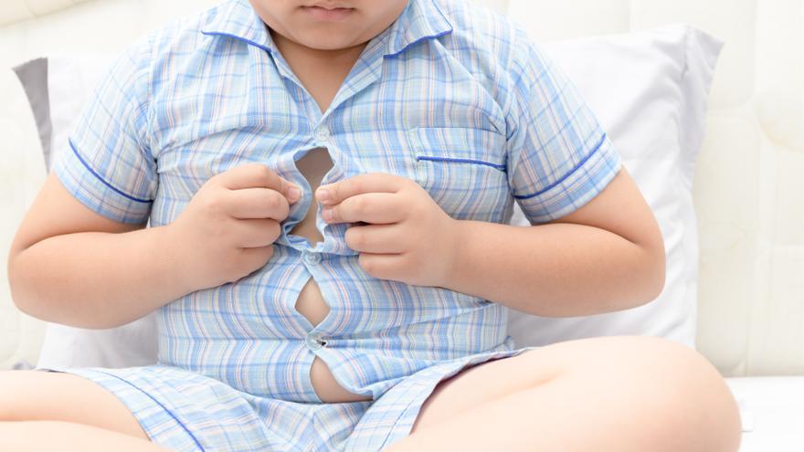 Más 700 niños vascos participan en el programa contra la obesidad infantil con resultados &quot;alentadores&quot;