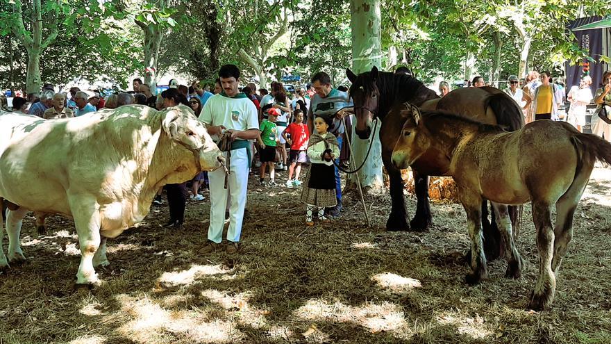 Encuentro de gigantes y euskal dantzak para la patrona, y feria de ganado para San Roque