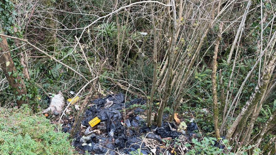 Hallan un perro muerto y los restos de al menos diez ovejas en una fosa en San Marcos