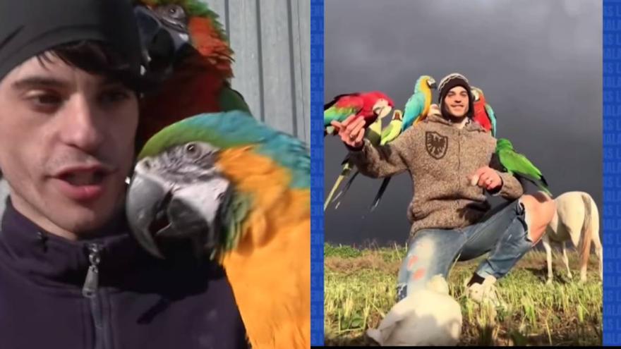 Final feliz para los guacamayos robados en Navarra