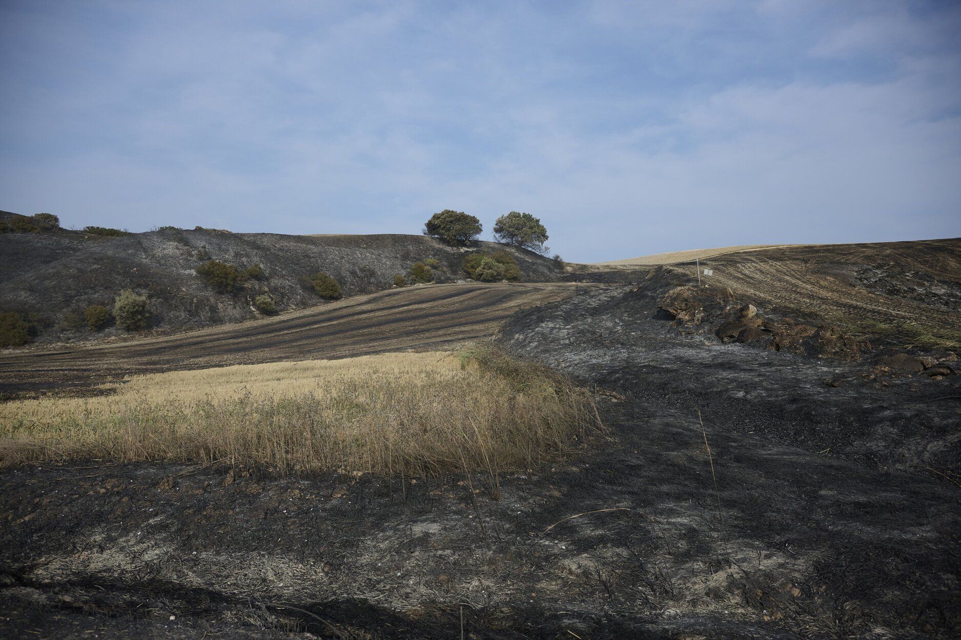 Imágenes de la zona afectada por el incendio en Enériz