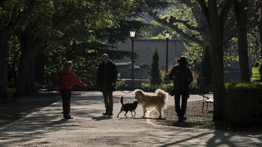 De paseos,
ocas y colores
