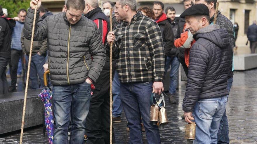 La Diputación aprueba ayudas de 1,7 millones de euros para los ganaderos