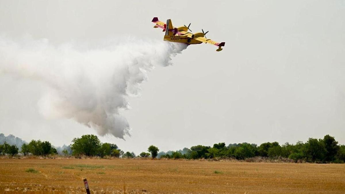 Un hidroavión descarga agua para sofocar el incendio forestal cerca de Carcastillo.
