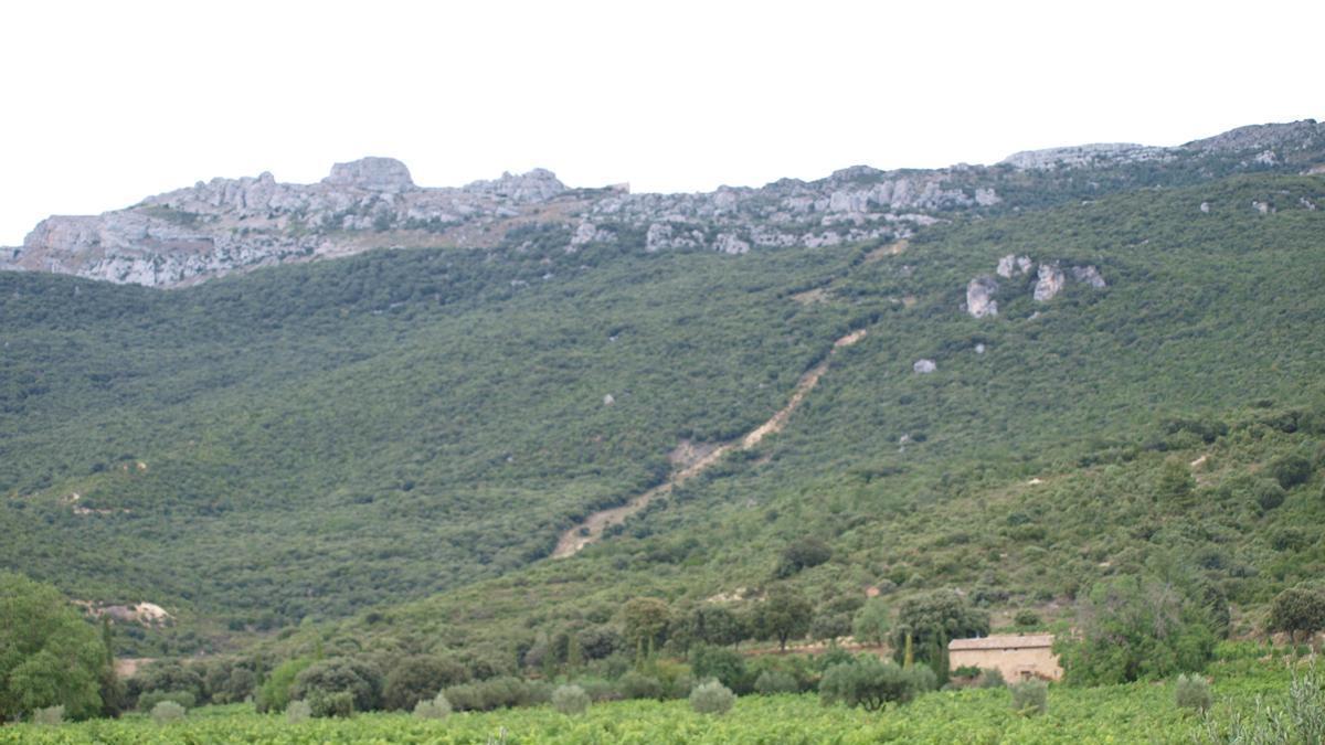 Vista de Toloño desde Remelluri.