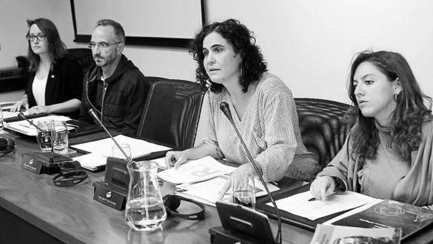 Josune Anocibar, Juanjo San Martín, Idoia Oneca y Sofia Zamalloa, ayer en el Parlamento.