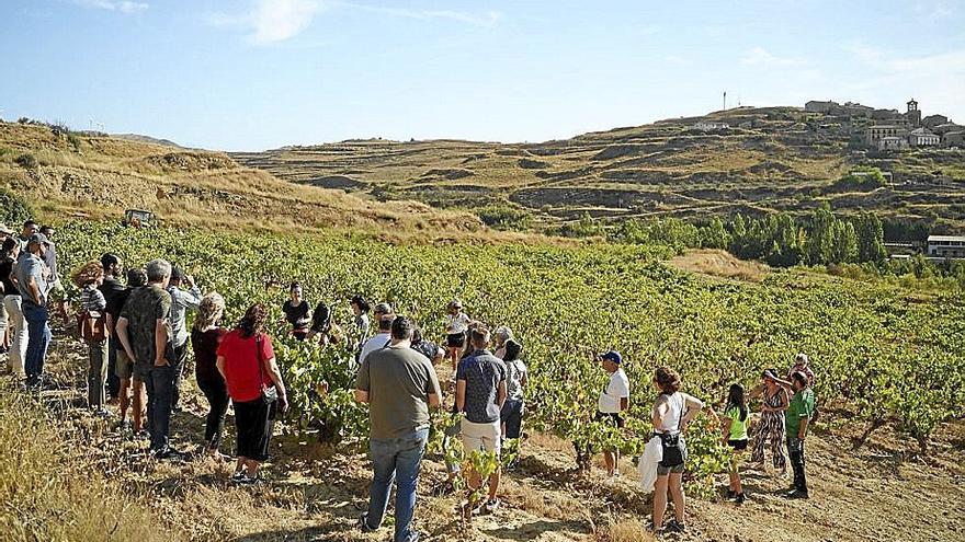 La Ruta del Vino de Navarra clausura “con éxito” ‘Navargira’
