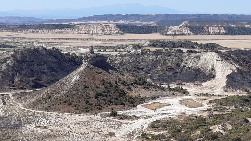 Se busca un cráneo de Bardenas