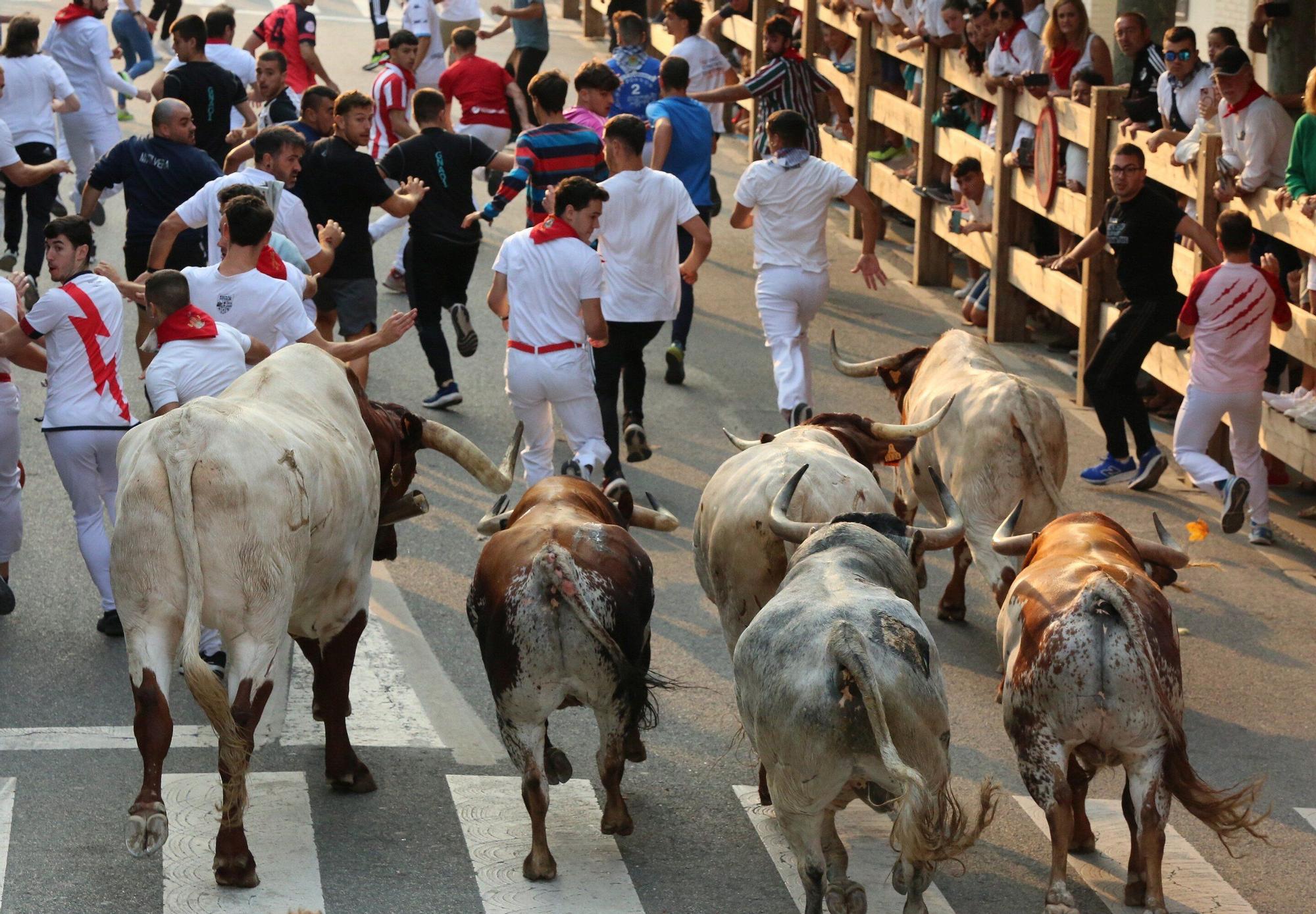 Fotos del tercer encierro de fiestas de Tafalla 2025