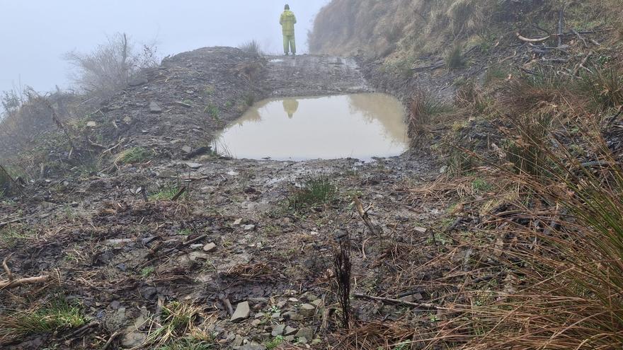 URA restaura una parcela de tres hectáreas en Ziortza-Bolibar con 931 plantas autóctonas