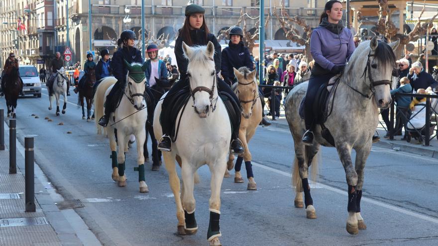 La feria caballar volverá a protagonizar las Ferias de Tafalla