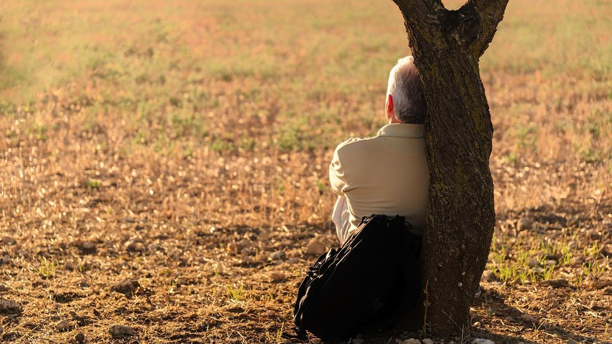 Programas de voluntariado para combatir la soledad no deseada.