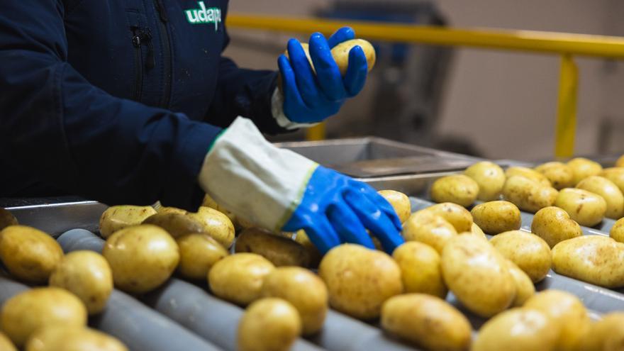 La patata alavesa refuerza su papel en la dieta y en el medio rural