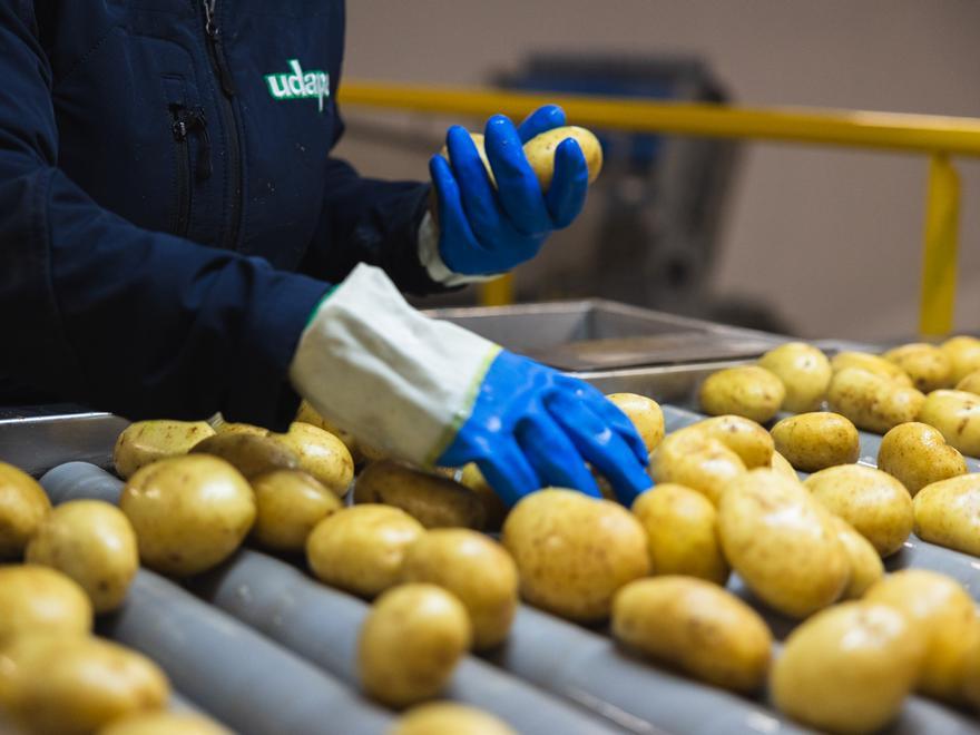 La patata alavesa refuerza su papel en la dieta y en el medio rural