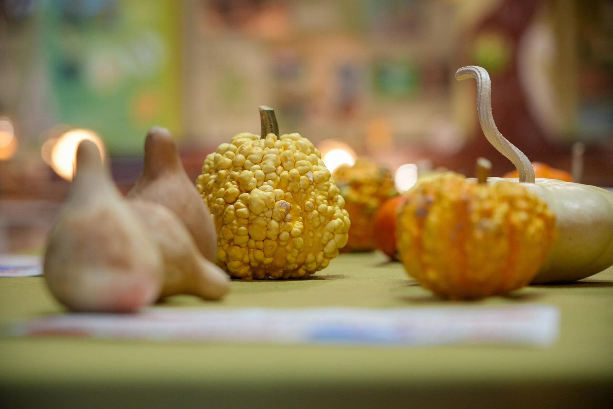 En imágenes: Exposición de calabazas en la Casa de la Dehesa