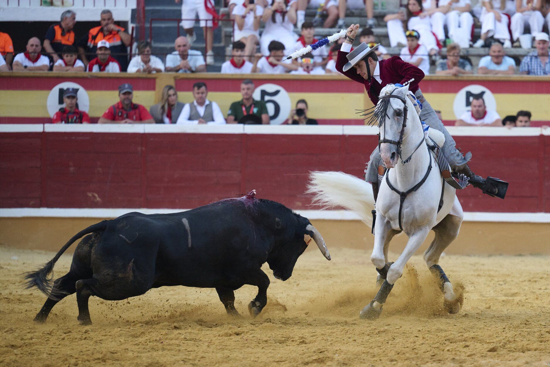 Fotos de la corrida de rejones de este domingo en fiestas de Tudela