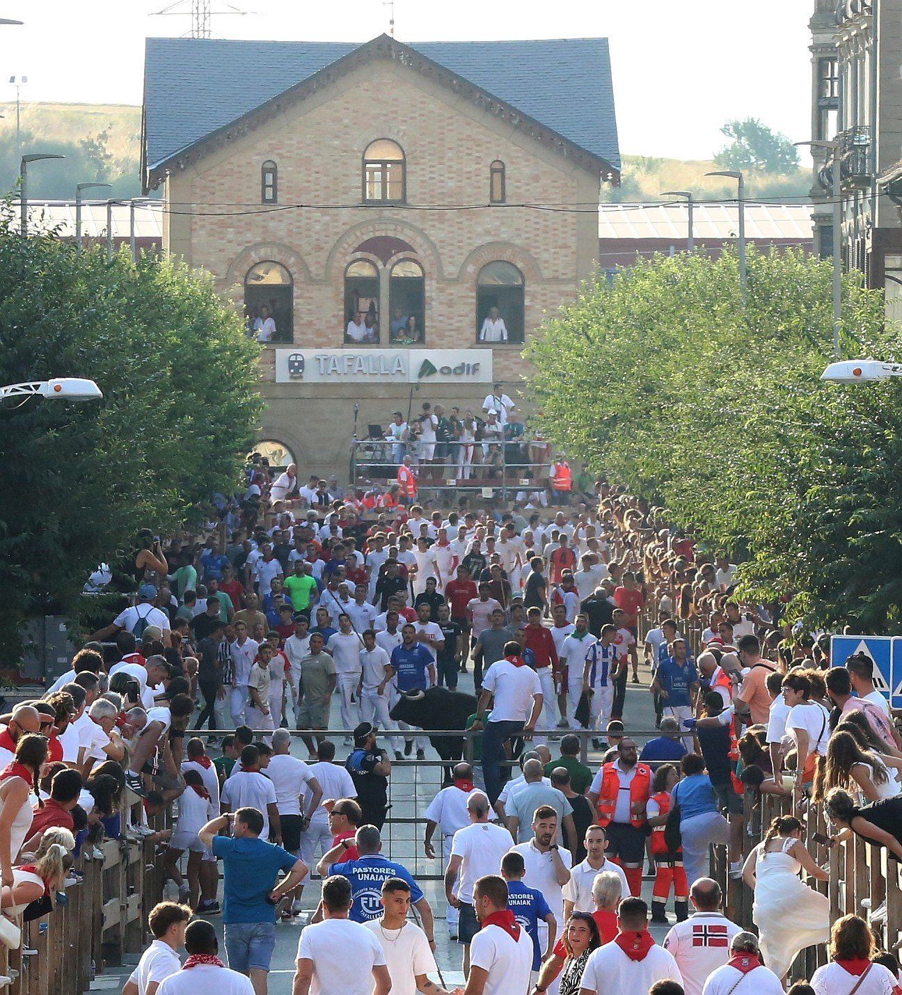 Fotos del primer encierro de fiestas de Tafalla