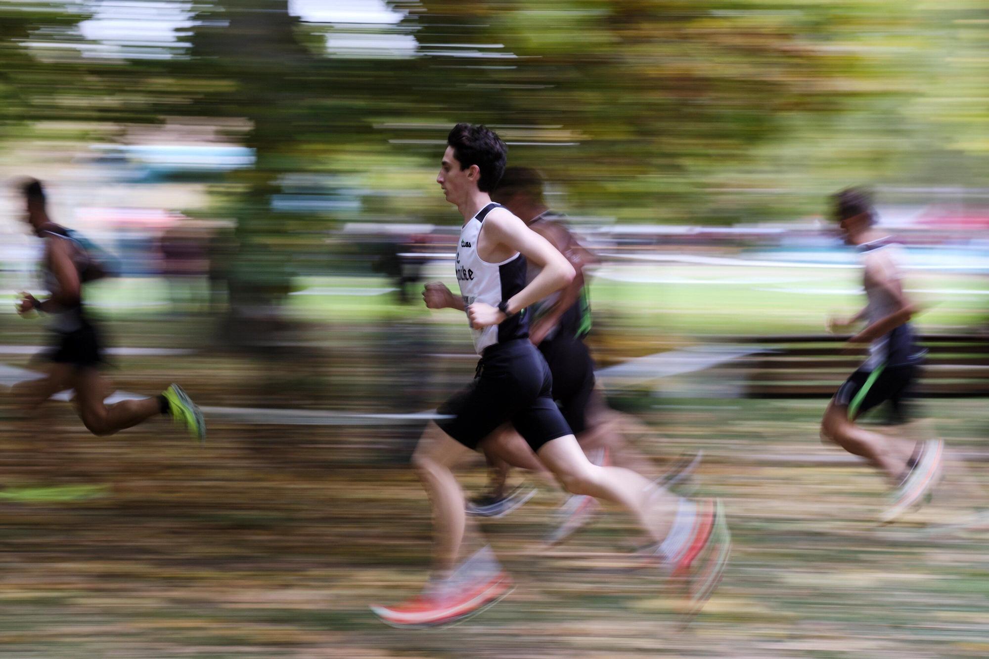 Fotos del cross de Estella