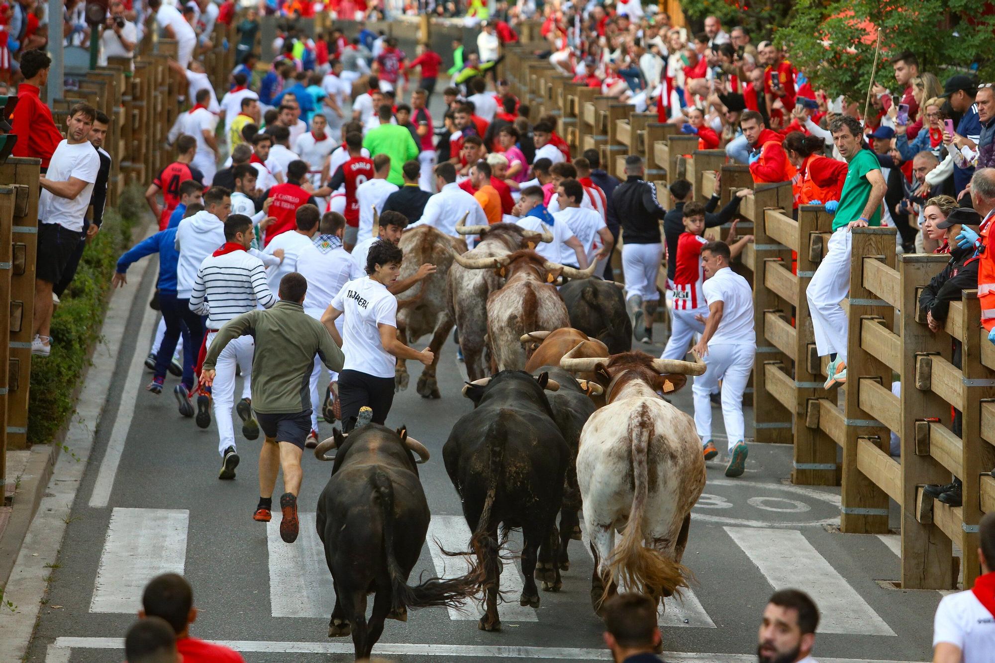 Fotos del primer encierro de las fiestas de Tudela 2025