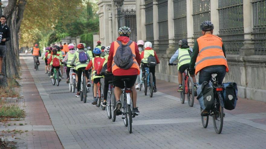 Cuando la circulación segura en bici en Vitoria se imparte sobre dos ruedas