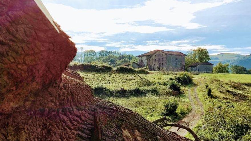 El TSJN no da validez a la adjudicación de las obras de urbanización de Aroztegia