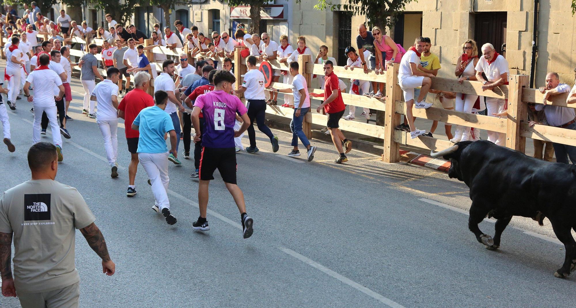 Fotos del primer encierro de fiestas de Tafalla