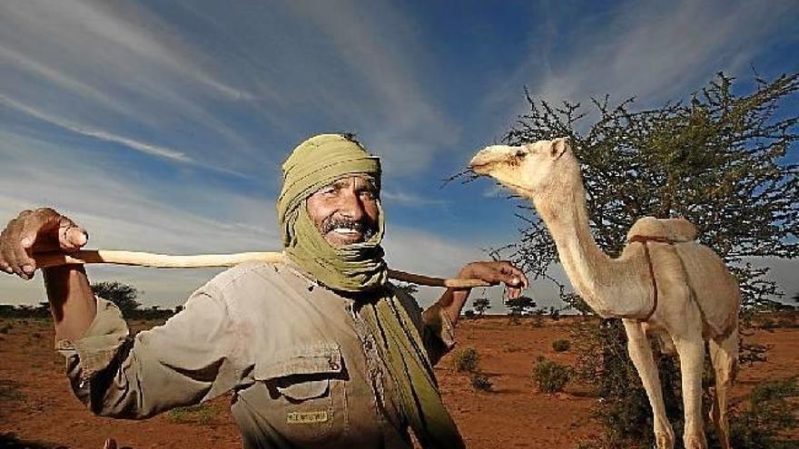 Lobos de Marruecos