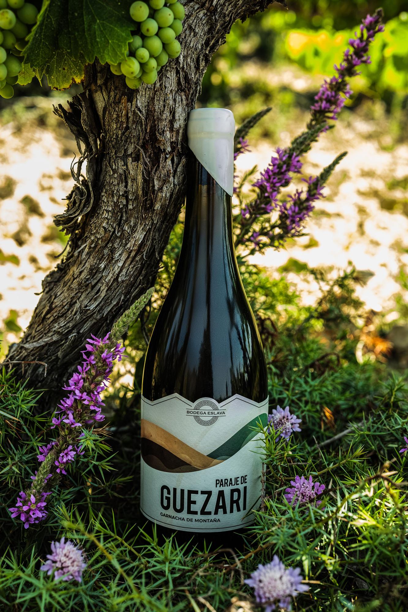 Paraje de Guezari de Bodega Eslava