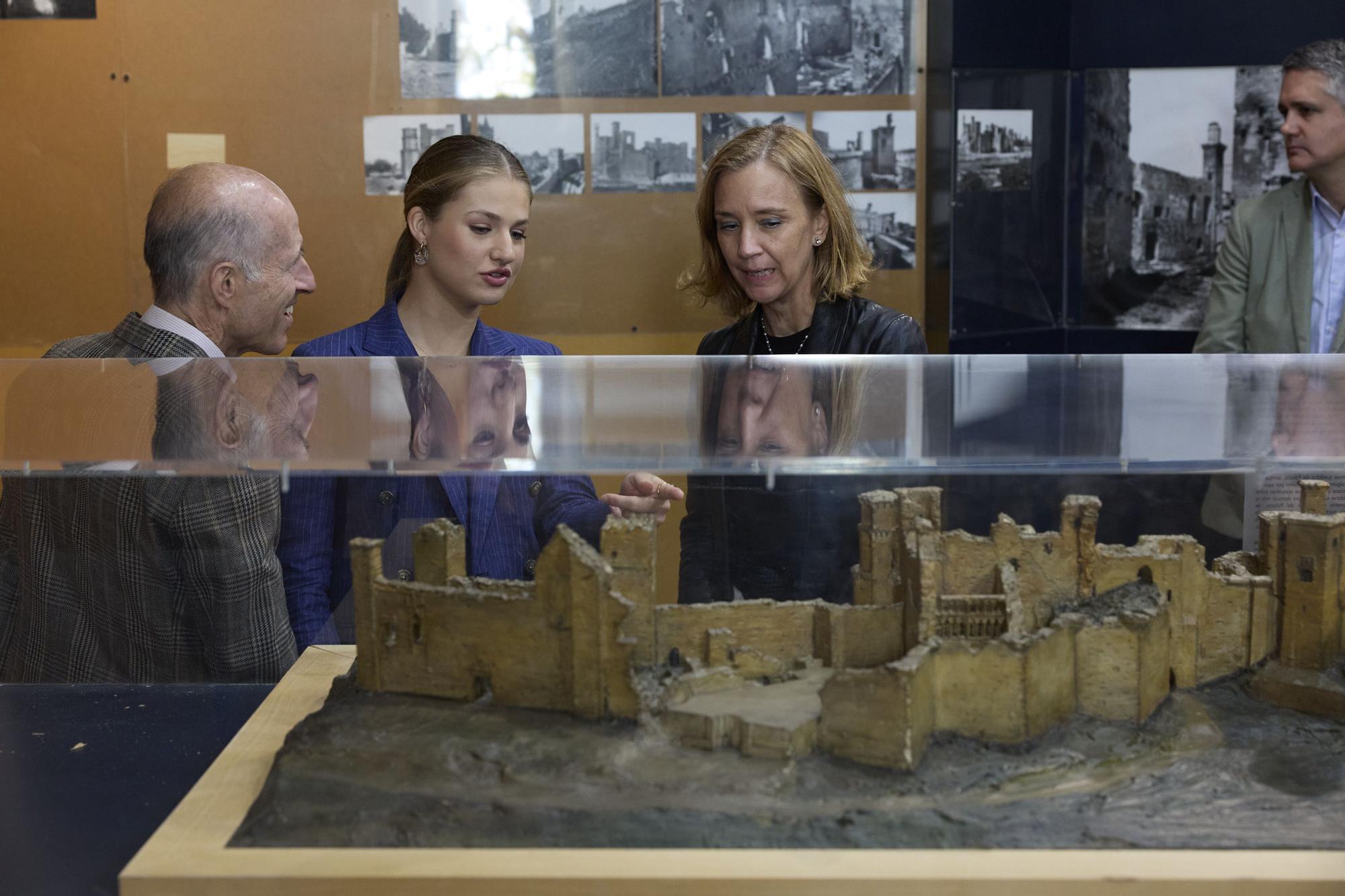 Fotos de la visita de los Reyes a Olite y Tudela