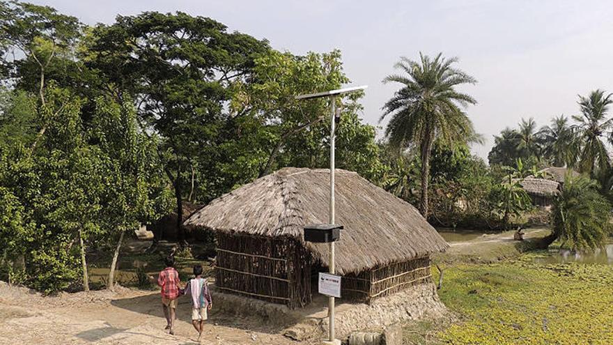 La instalación de farolas en aldeas de la India logra ahuyentar a los tigres