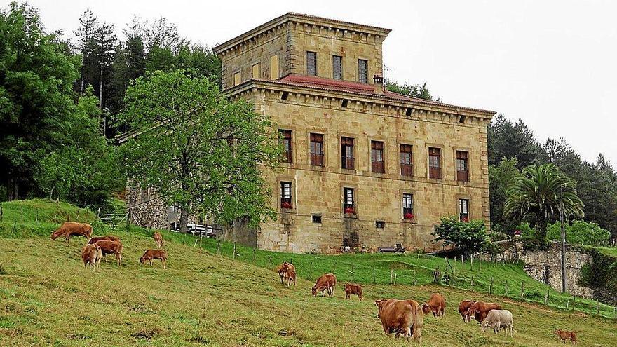 Urretxuko Udala nekazari eta abeltzainentzako dirulaguntzen oinarriak onartu ditu