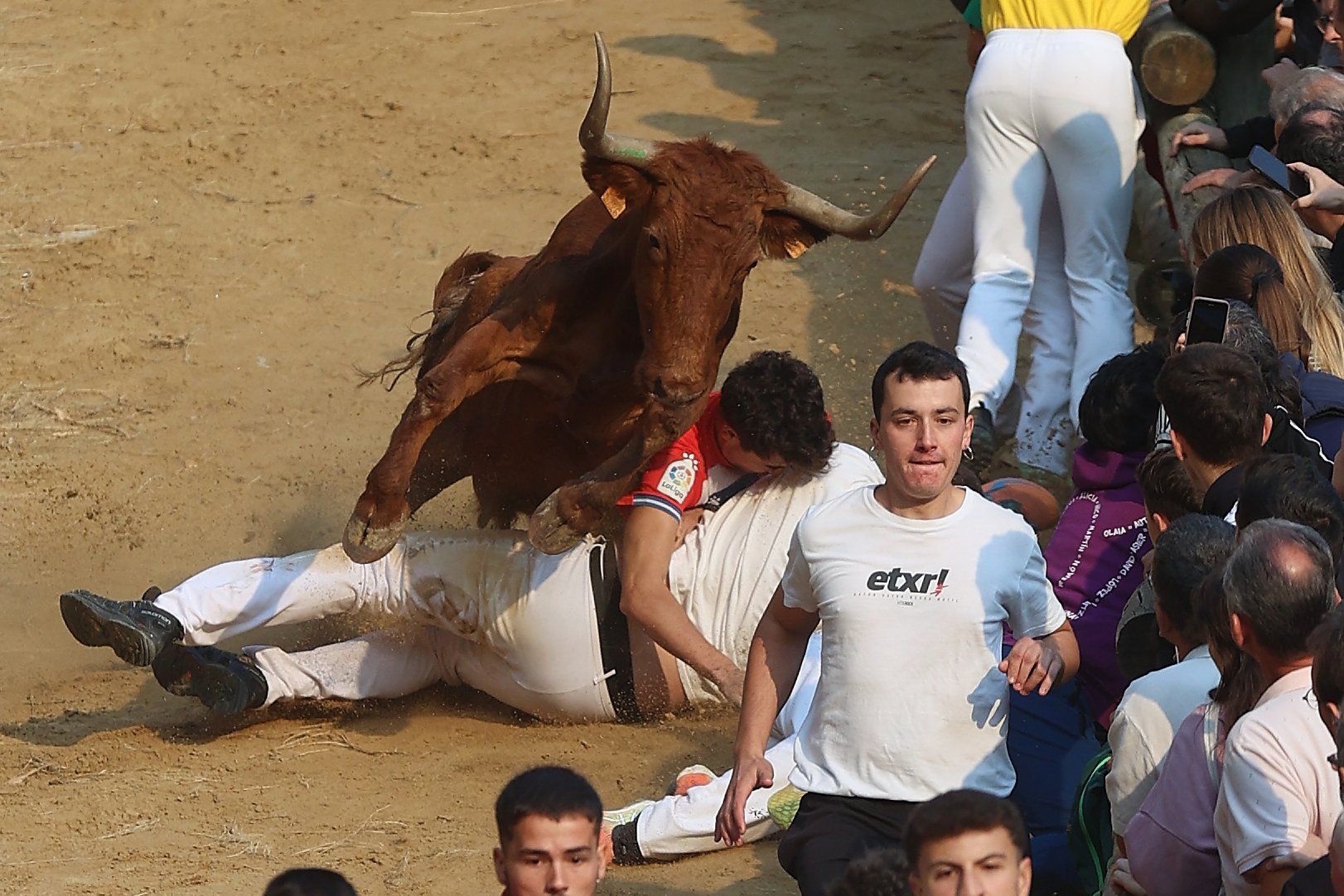 Fotos del cuarto encierro del Pilón de Falces 2025
