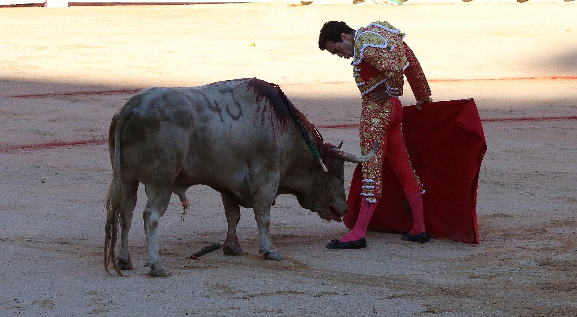 Fotos de la corrida de toros del día 9.