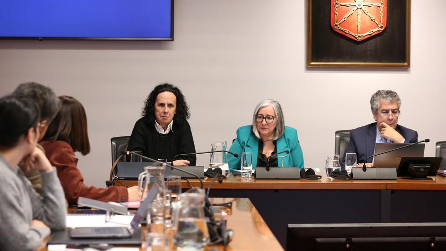 El Cermin pide reparación para víctimas de esterilización forzada por discapacidad