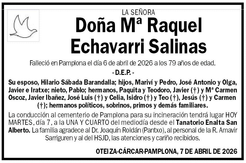 Mª Raquel Echavarri Salinas