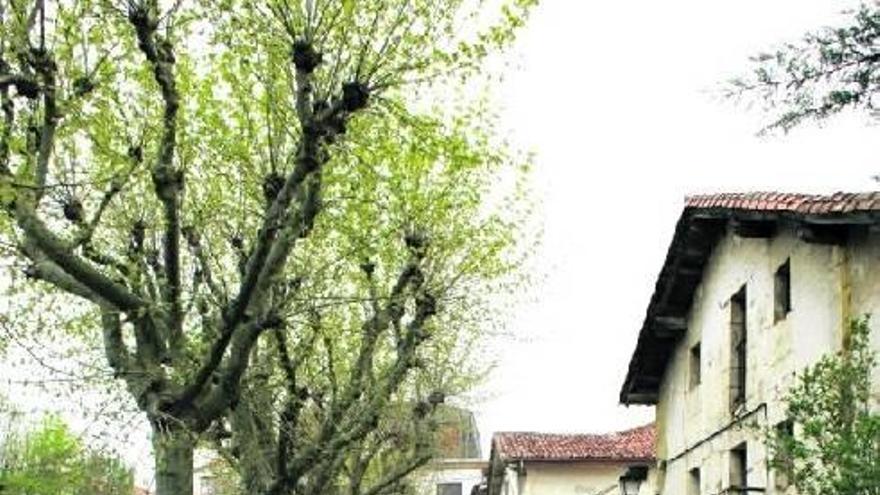 Igeldotarrek herri  kontseilua berritu dute